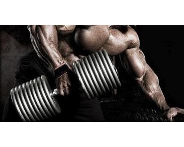 Bodybuilding Anfänger trainieren oft mit zu hohen Gewichten