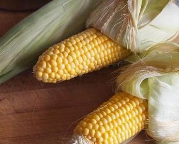 Corn Chowder - Suppe aus frischem Gemüsemais