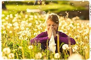 Heuschnupfen? Nicht mit mir! – Hilfreiche Tipps und alternative Mittel für die Pollenzeit (Teil 1)