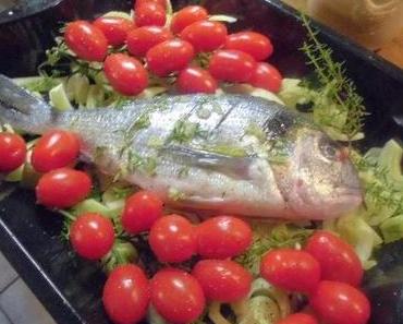 Ofen-Dorade mit Fenchel