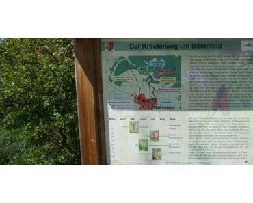 Ausflugstipps mit Kindern: Kräuterweg und Spielplatz in Böhmfeld