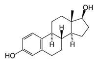 Gewichtsverlust für Frauen Teil 2: Östrogen