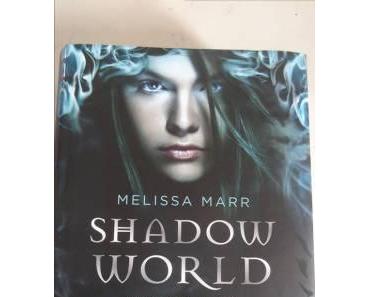 Was bin und welche Seele besitze ich? – Shadow World