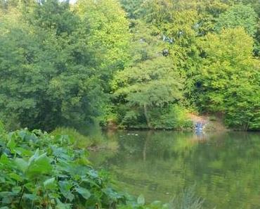 Der Blick im September