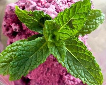 Sommerzeit ist Eiszeit! Leckeres Blaubeereis-Rezept