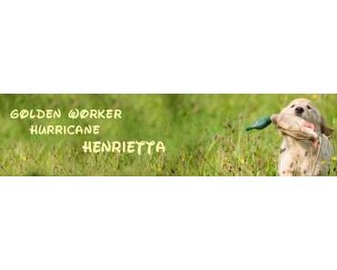 Nichts ist in Stein gemeißelt