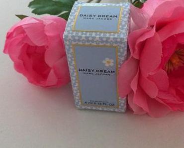 Daisy Dream