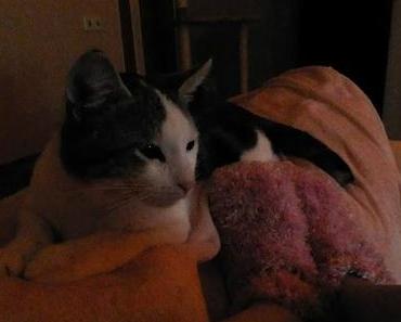 [Diary] How we do Surviving Winter!