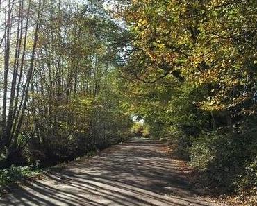 Sommer-Comeback genießen