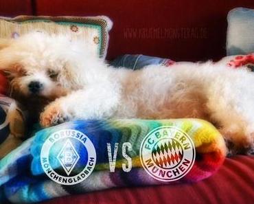 Da halte ich mich raus | Fitzefatzes Talk