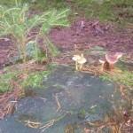 Anleitungen und Muster für den Workshop