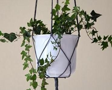 Wer liebt antikgraue Blumenampeln?