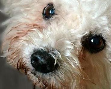 nach langer Zeit mal wieder 7 Sachen am Sonntag