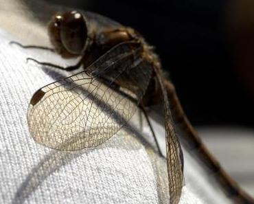 Makros schon mal am Samstag