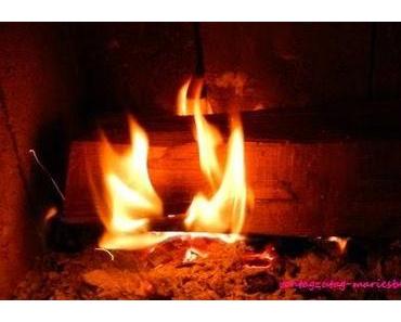 Ein wichtiges Thema in der kalten Jahreszeit: Brandschutz rund um Öfen und Feuerstellen