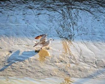 BlickDienstag #61 [von oben nach unten geschaut]