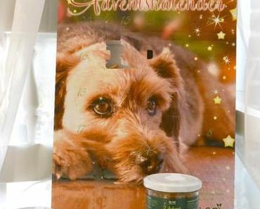 Auch dat Daisy feiert Weihnachten.