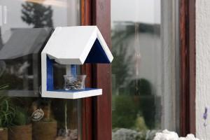 Vogelhaus-Bauanleitung zur Vogelbeobachtung