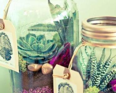 Was Ernährung mit Nachhaltigkeit zu tun hat!