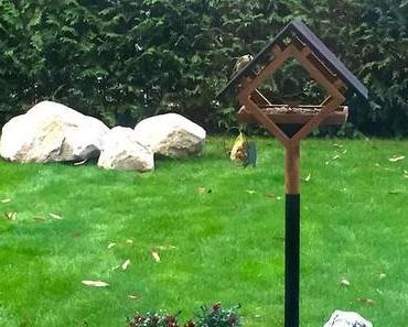 Wir haben wieder Vögel