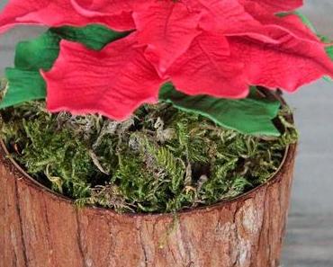 echt oder nicht echt?