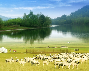 Wir verwenden hochwertige Schurwolle aus der Mongolei