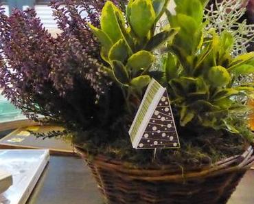 Fröhliche Weihnachten