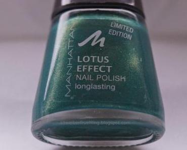 Lacke in Farbe und bunt - Tannengrün