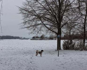 Der erste Schnee