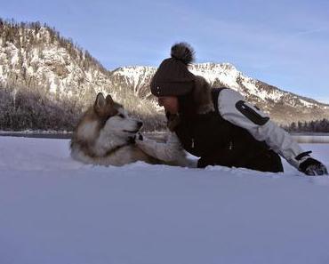 Seelennahrung - Mitten ins Herz! Vergeben, Verzeihen, Frieden schließen!