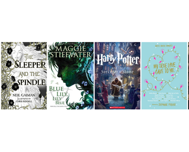 Meine Dezember 2014 Lesestatistik