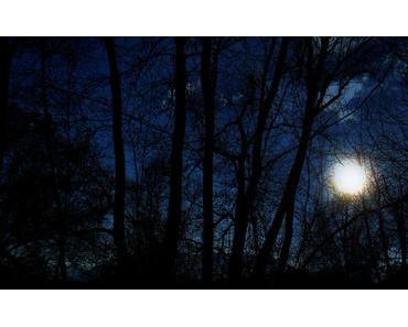 weihnachten ganz finster.