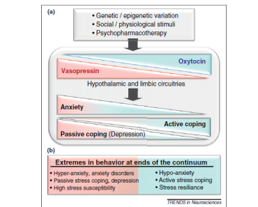 Teil 3: Stress… dein Freund?