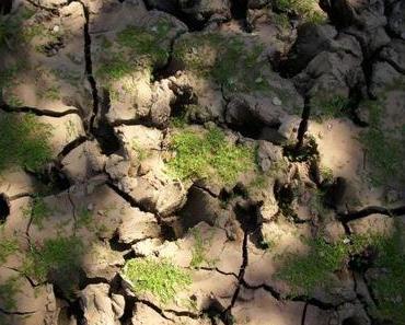 Andalusische Impressionen