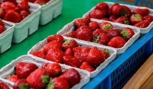 Erdbeere – süß und köstlich