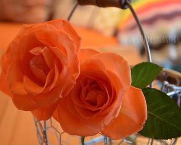 Supermarktreste Ton in Ton im Gruselzimmer am Friday Flowerday