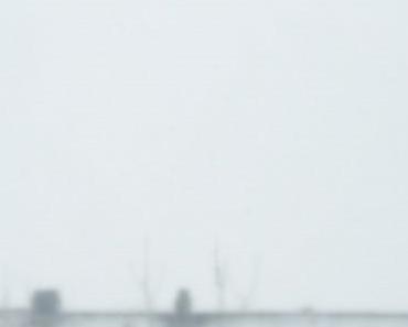 wallpaper-1689754