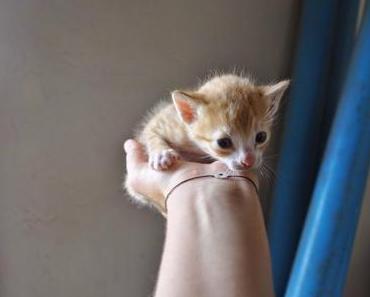 woche drei #sunrisechildrenshome