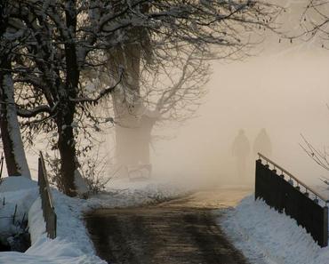 wallpaper-1689754