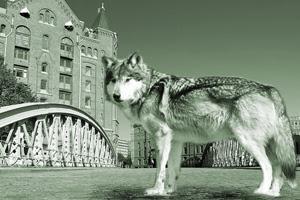 Vergütung auf dem Prüfstand