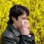 Mitten in der Grippewelle