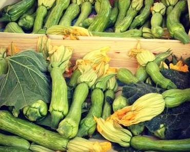 Zucchini-Blüten