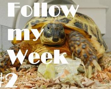 FOLLOW MY WEEK #2