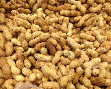 Birnen und Käse: Ein unzertrennliches Duo! CAKE MIT ROQUEFORT, BIRNEN UND NÜSSEN