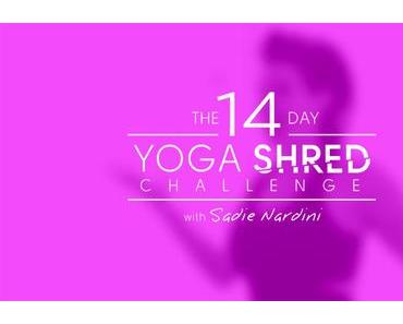 The 14 Day Yoga Shred Challenge | doyouyoga.com