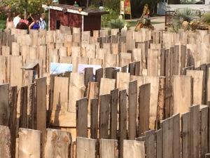 #Sonntagsfreude: Gewohnheit