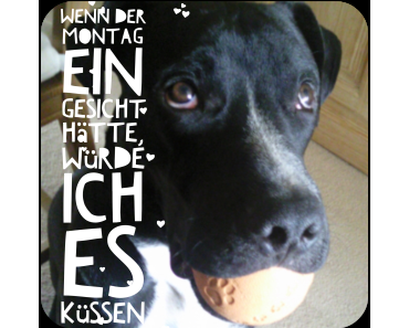 13 Gründe warum du dich in den Montag verlieben solltest