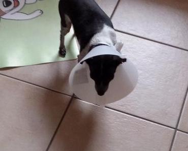 Arme kranke Luna