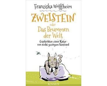 Zweistein-ein Kater auf der philosophischen Hintertreppe