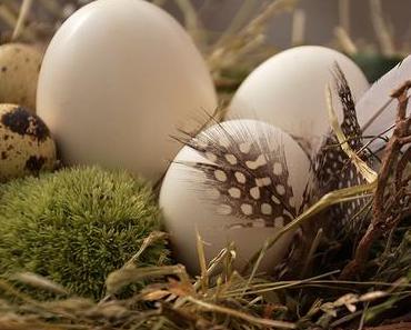 Frohe Ostern!